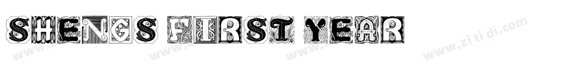 shengs first year字体转换